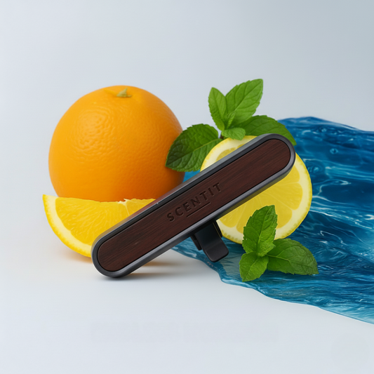 Inspired by Louis Vuitton Afternoon Swim